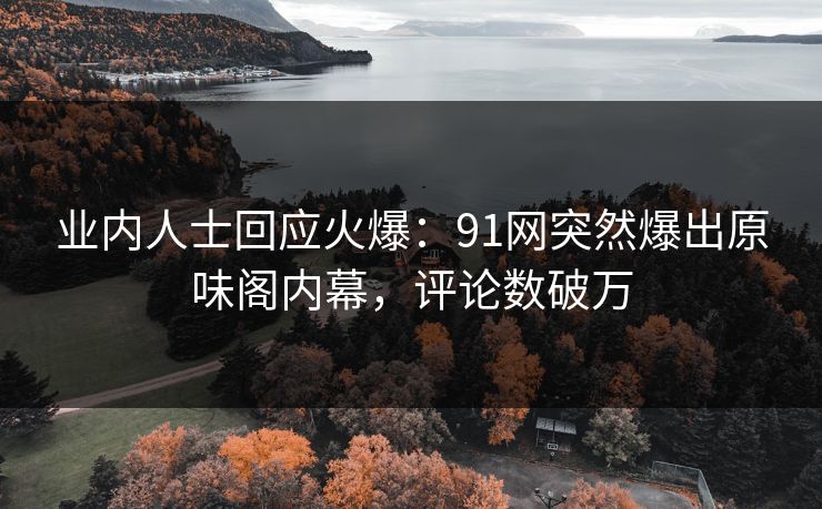业内人士回应火爆：91网突然爆出原味阁内幕，评论数破万