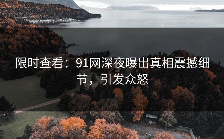 限时查看：91网深夜曝出真相震撼细节，引发众怒