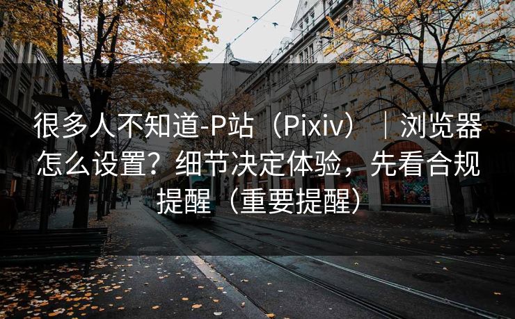 很多人不知道-P站（Pixiv）｜浏览器怎么设置？细节决定体验，先看合规提醒（重要提醒）